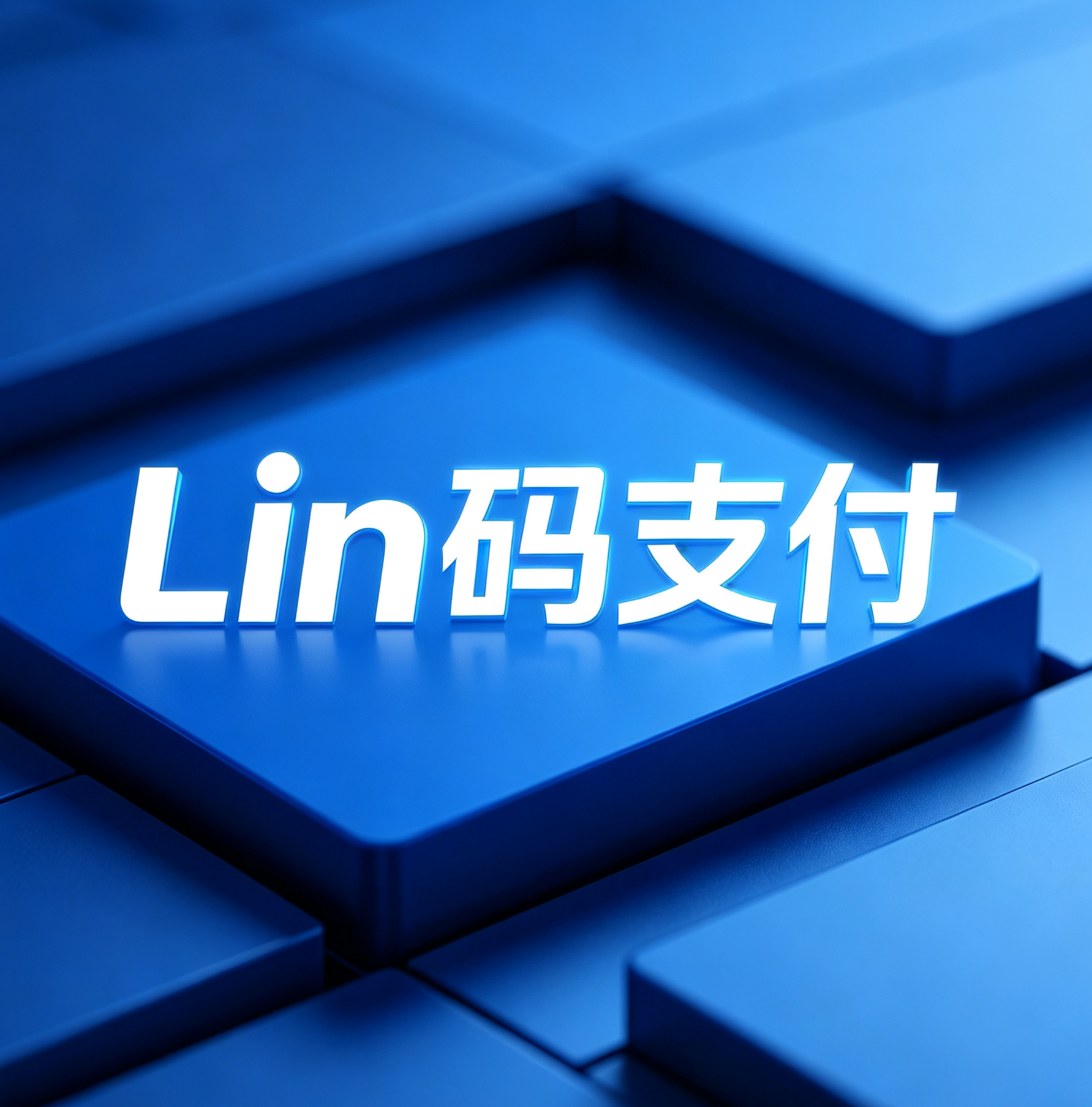 码 支 付